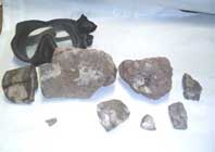 Fosiles encontrados en Lago Mari Menuco